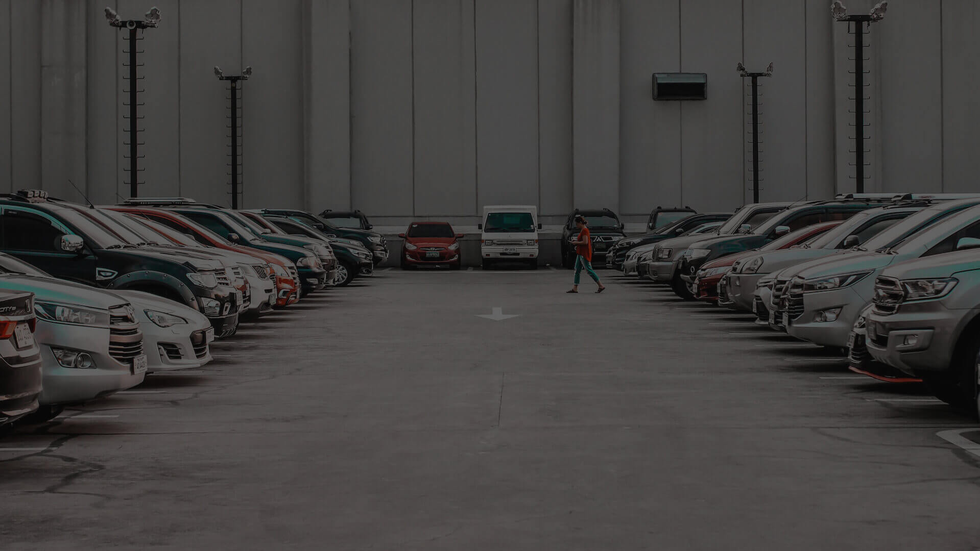 News and updates from Beetle Rent A Car